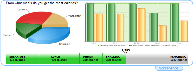 StartYourDiet.com Weight Chart Screenshot