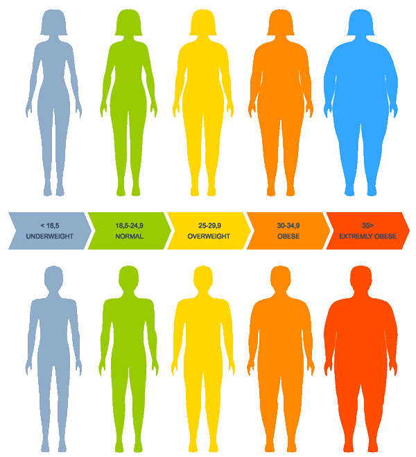 BMI Chart