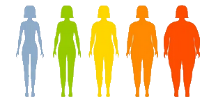 BMI Bodies